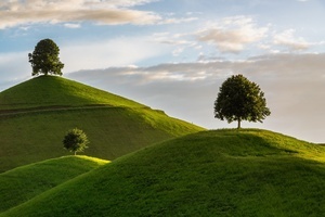 Ausblick auf Felder und Bume